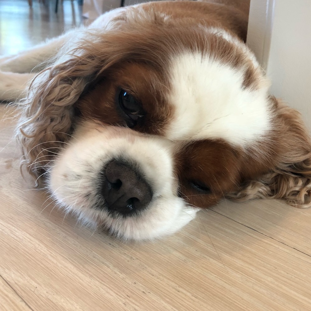 Meet your Posher, Alec